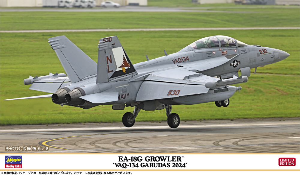 Hasegawa - 02487 - EA-18G Growler 